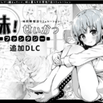 Sister-Life-Fantasy DLC1